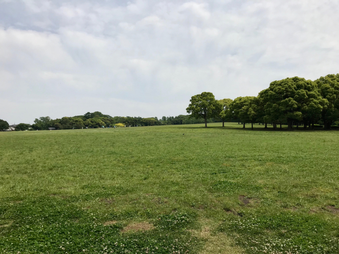 c0117831_10262616.jpg