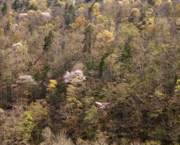 a0329935_17552103.jpeg