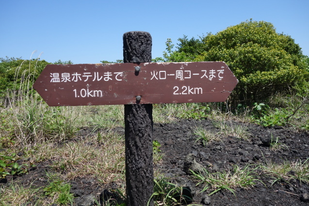 d0370737_21190222.jpeg