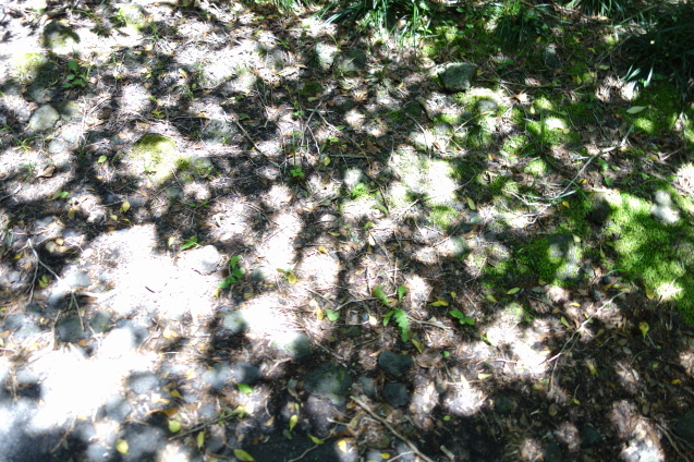 d0370737_21340476.jpeg