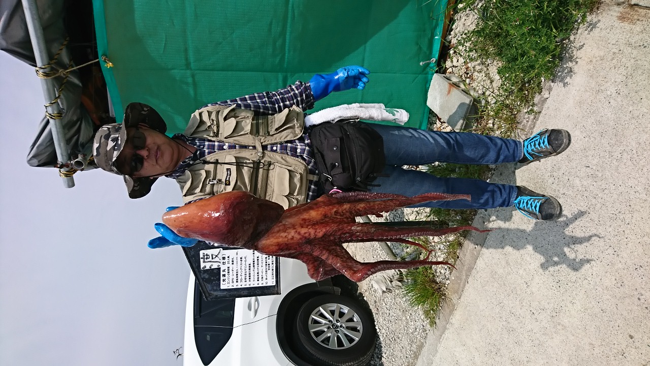 b0128238_5161520.jpg