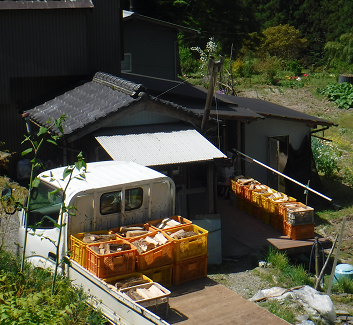 a0051539_19500253.png