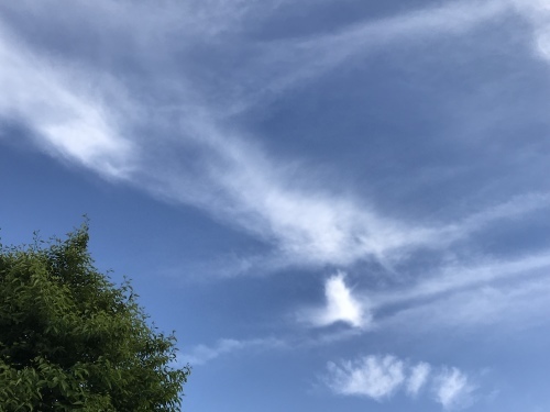 5月の空_c0367444_07242684.jpeg