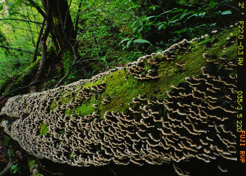 f0207844_23032998.jpg