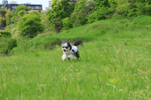 c0145250_09492497.gif