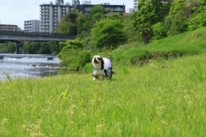 c0145250_09492729.gif