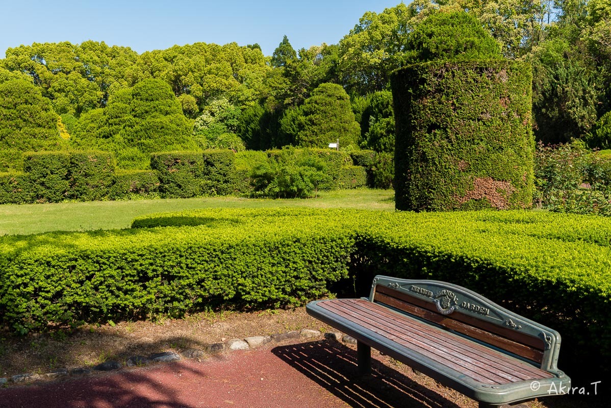 植物園 2018 春 -3-_f0152550_19443176.jpg