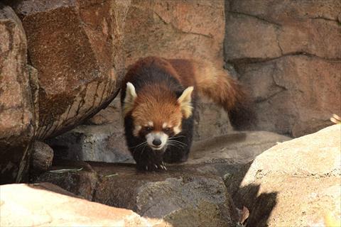 b0338756_13440417.jpg