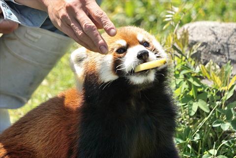 b0338756_14045941.jpg
