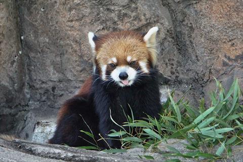 b0338756_14174570.jpg