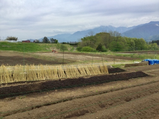 a0053063_12491567.jpeg