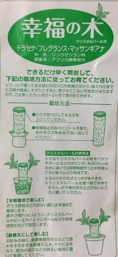 a0053063_18275394.jpeg