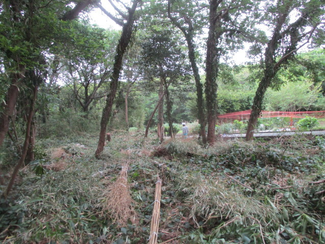 b0366663_21540298.jpg