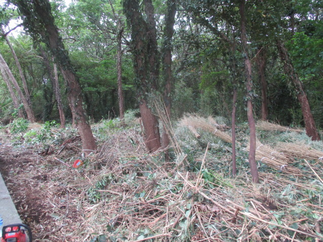 b0366663_21574746.jpg