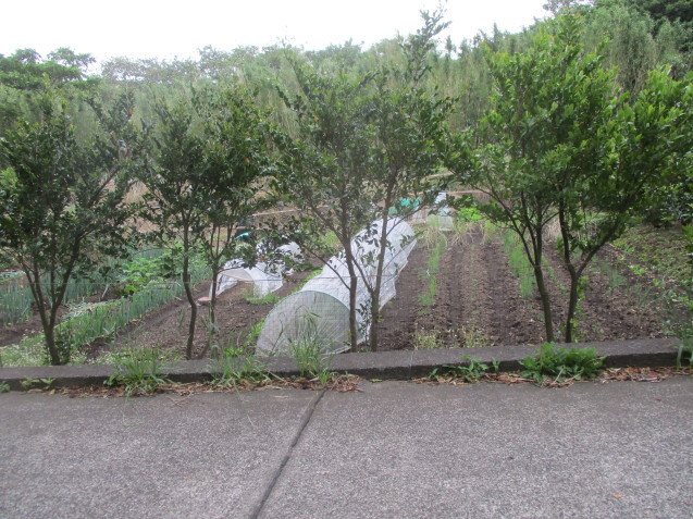 b0366663_22121687.jpg