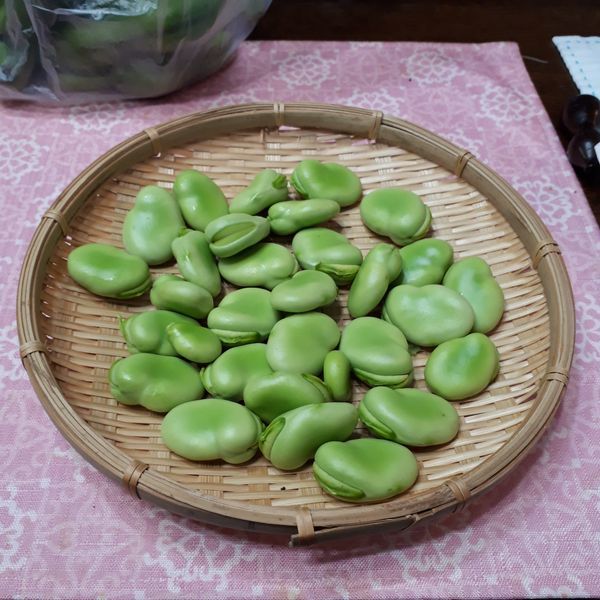 初夏の味 おたふく豆 たまこ庵 備忘録 初夏の味 おたふく豆 たまこ庵 備忘録