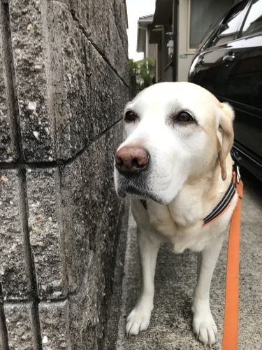 f0315081_21540426.jpeg