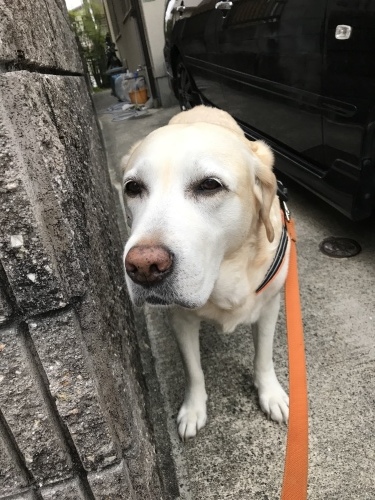 f0315081_21544926.jpeg