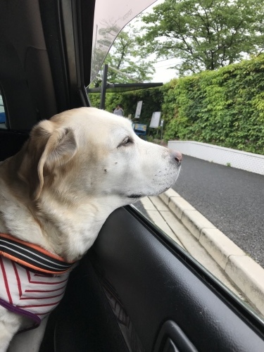 f0315081_21564845.jpeg