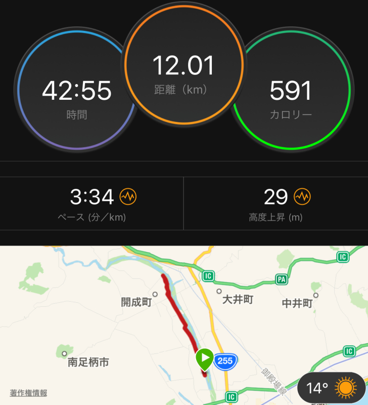 今週の遅筋強化メニュー_f0310282_19471158.jpeg