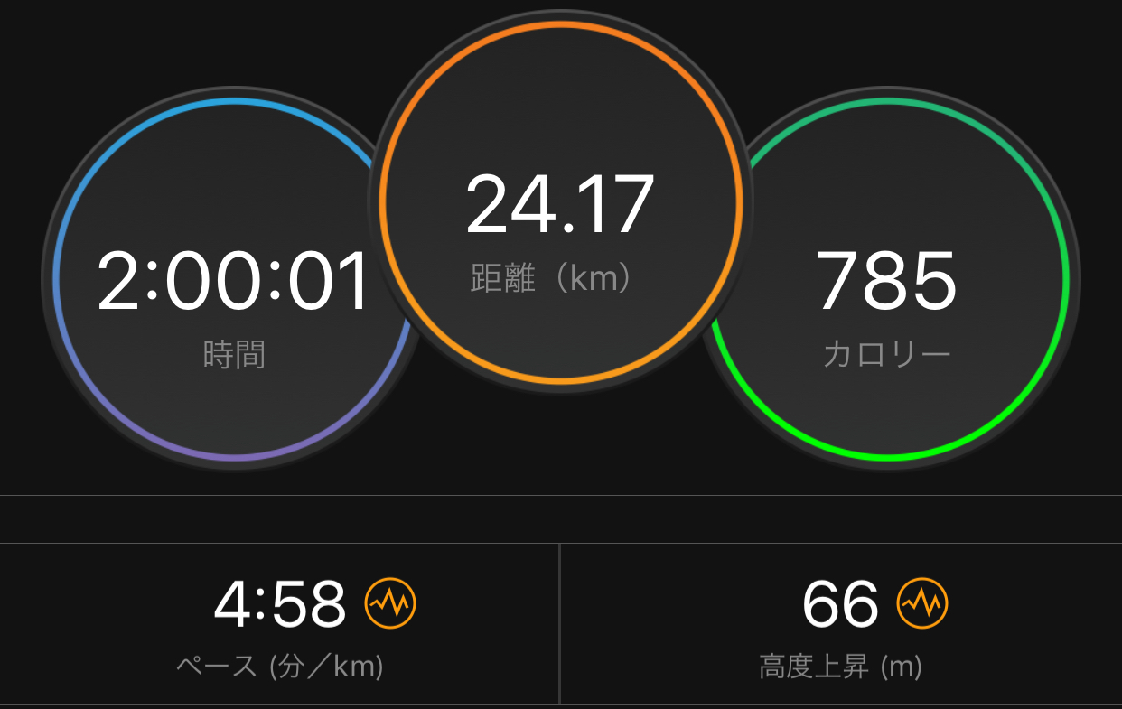 今週の遅筋強化メニュー_f0310282_19480387.jpeg
