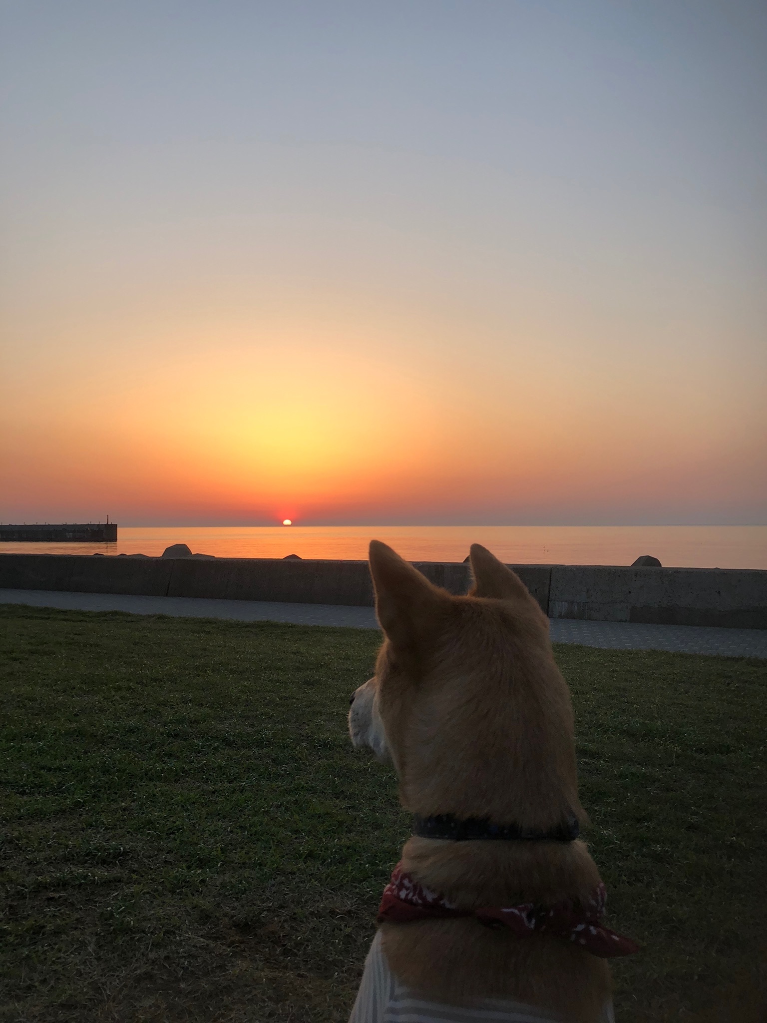 c0332184_22231612.jpeg