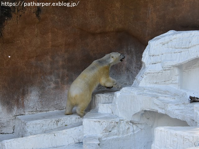 a0052986_83489.jpg