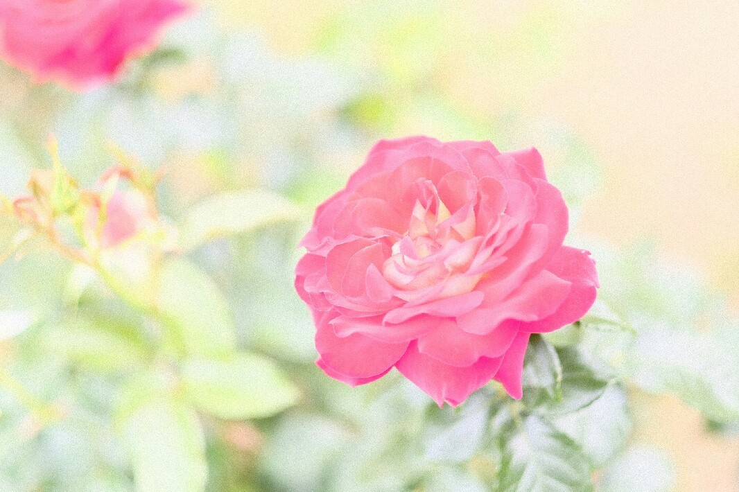b0327486_06335792.jpg