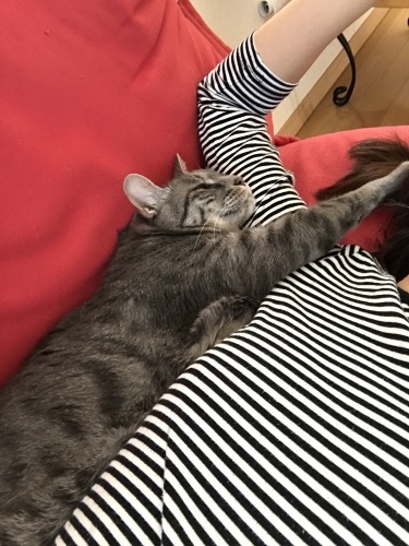 c0340786_13225427.jpeg