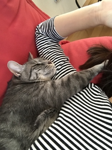 c0340786_13231828.jpeg
