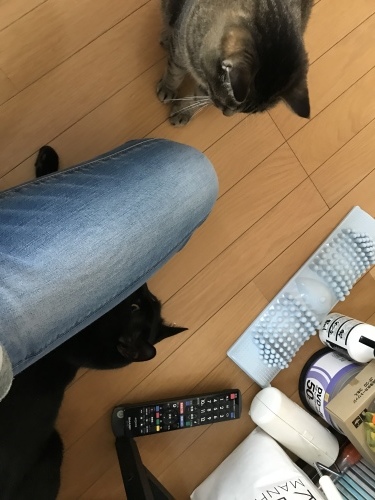 c0340786_13263166.jpeg