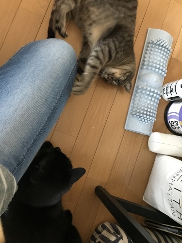 c0340786_13264602.jpeg