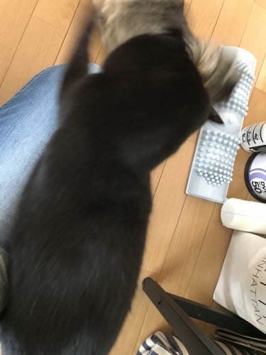 c0340786_13270627.jpeg