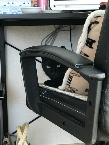 c0340786_13274369.jpeg