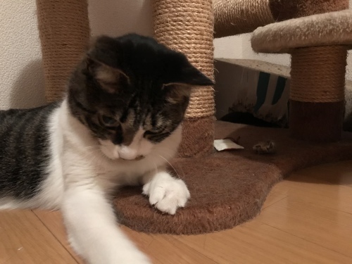 c0340786_13303520.jpeg