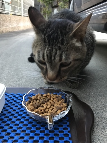 c0340786_13400704.jpeg