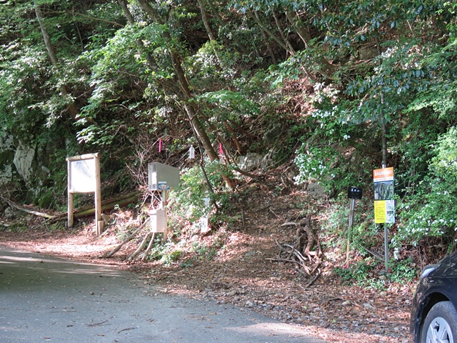 夏木山「新道登山口から」、五葉岳のピストン、11日_f0357487_209547.jpg