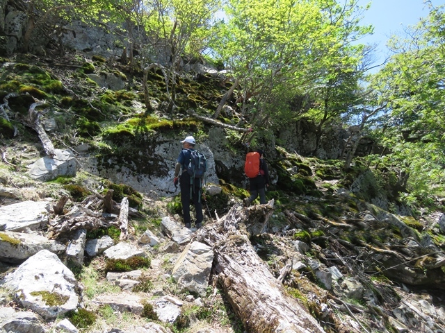 夏木山「新道登山口から」、五葉岳のピストン、11日_f0357487_22445067.jpg