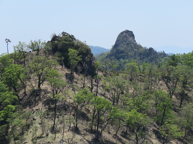 夏木山「新道登山口から」、五葉岳のピストン、11日_f0357487_22473929.jpg