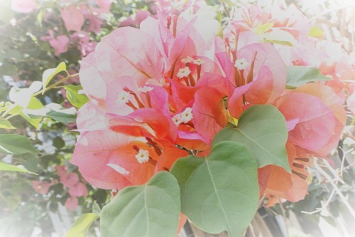 e0305388_08073509.jpg