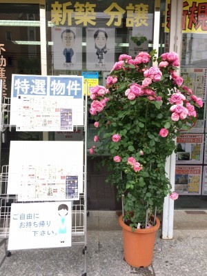 d0155992_13434401.jpg