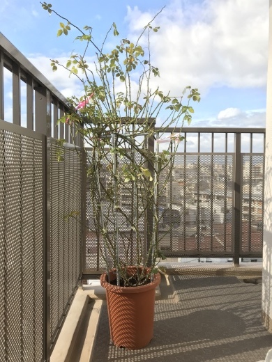 d0155992_16465604.jpeg