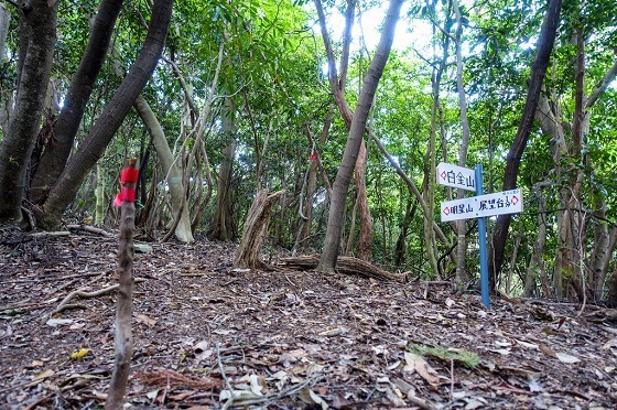 e0176993_07300521.jpg