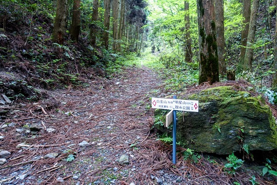 e0176993_07300667.jpg