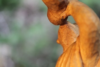 e0354596_15160406.jpg