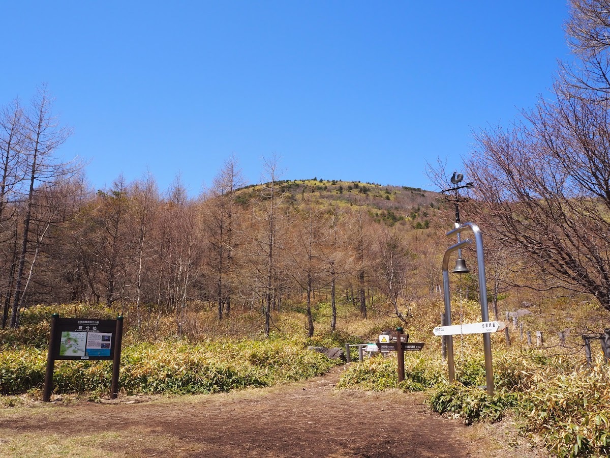 d0237801_21372241.jpg