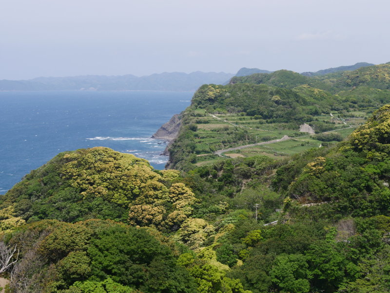 b0165802_22594163.jpg
