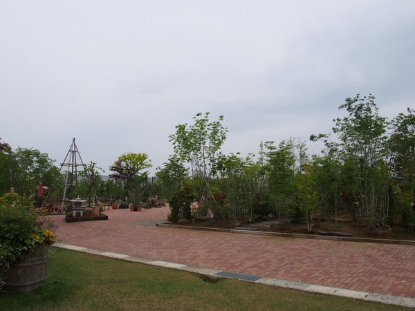 d0293002_2238165.jpg