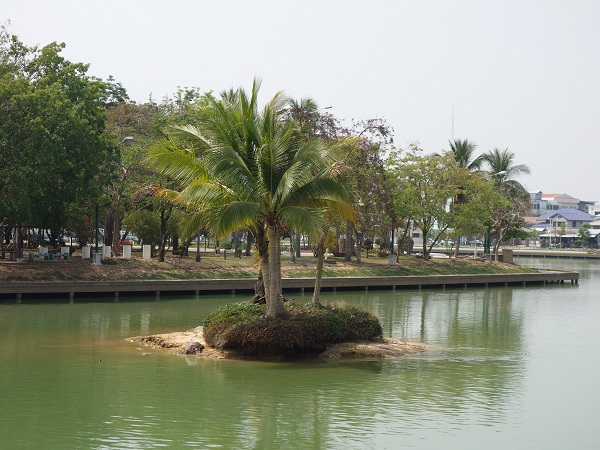 d0360509_1741995.jpg