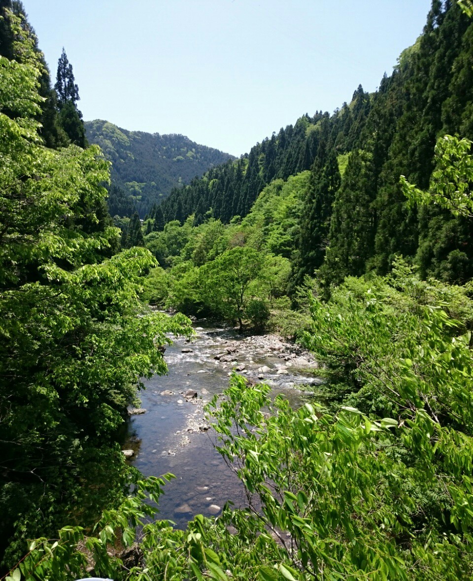 a0361610_19244050.jpg